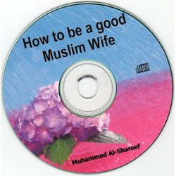 How to be a Good Wife (CD)